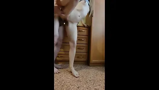 Seks pernikahan panas (sepong kontol dan ngentot)