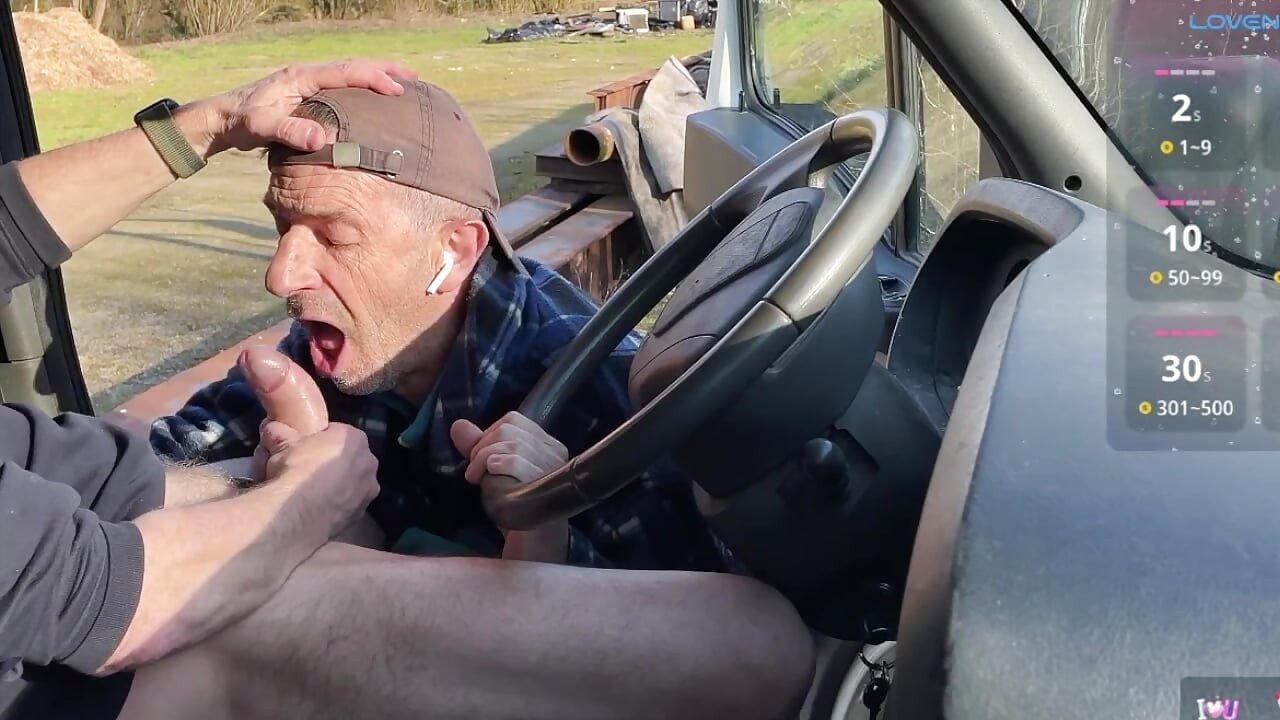 Sunny Day Car Encounter