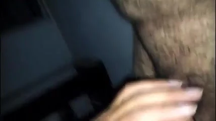 rapado bello