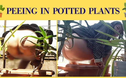 Buang Air Kecil Di Tanaman Pot