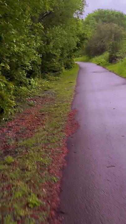 Exploring new tracks walking naked barefoot