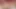 Hot Tranny Bimbo Riding a 12 inch BBC Dildo + OIL