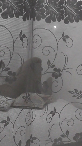 Key moment from "Public. Boy neighbor peeps on masturbating MILF through an opemn window"