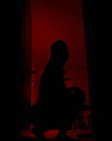 silhouette silhouette