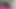 I am going to completely feminize you