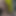 黒い唇 フレンチアップのクローズアップキスと騎乗