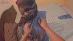 Pratinjau video