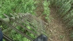 Pratinjau video