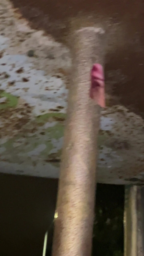 Leaving my Mark