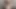 Busty hile karısı sütlü mari sevgilisine büyük bir oral Creampie elde edene kadar derin boğaz oral seks verir!