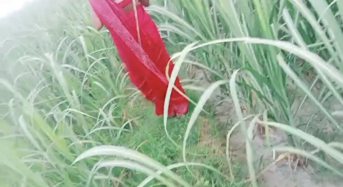 bihari bhabhi ko jungle me chudai kiya