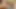Hintli üvey kardeşimle ırklararası seks, kıvrımlı bir Latin Sperm İçin - Şeytan Khloe ve Niks Hintli