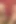 Faceslapping Boy - by Domina Lea Lexis and Her Slave Gary Corona Full