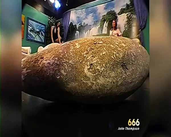 Sluts Get Pissed on and Facialed Hard in Bukkake Orgy