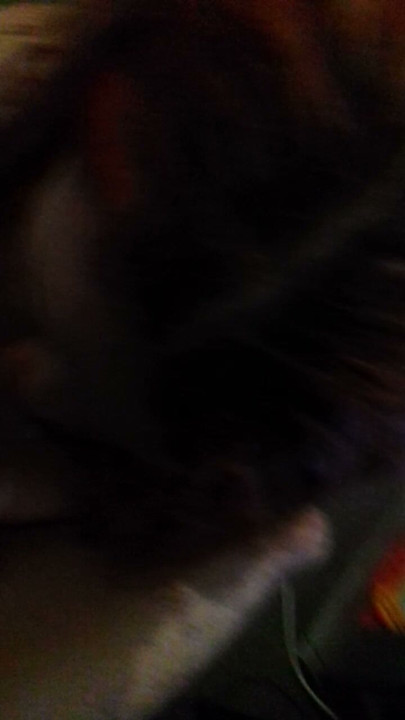 Giving hubby a Blowjob