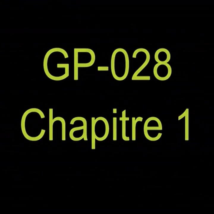 GP-028 - 第1章