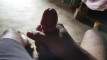 Pregled videozapisa