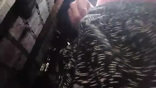 Precum