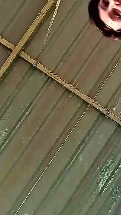 Beutiful lady swinging without panties on a swing outdoors. Slow motion 127 3 | Clip 1