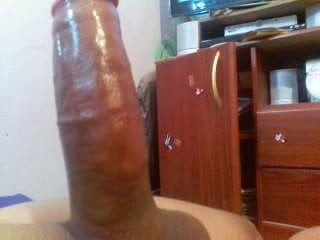 Cock oil my