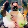 Pregled videozapisa