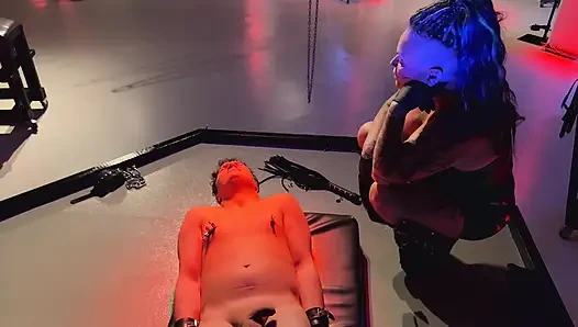 Welcomes the New Meat