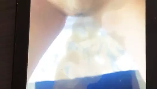 Cum üzerinde kedi