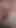 urethra | Clip 2