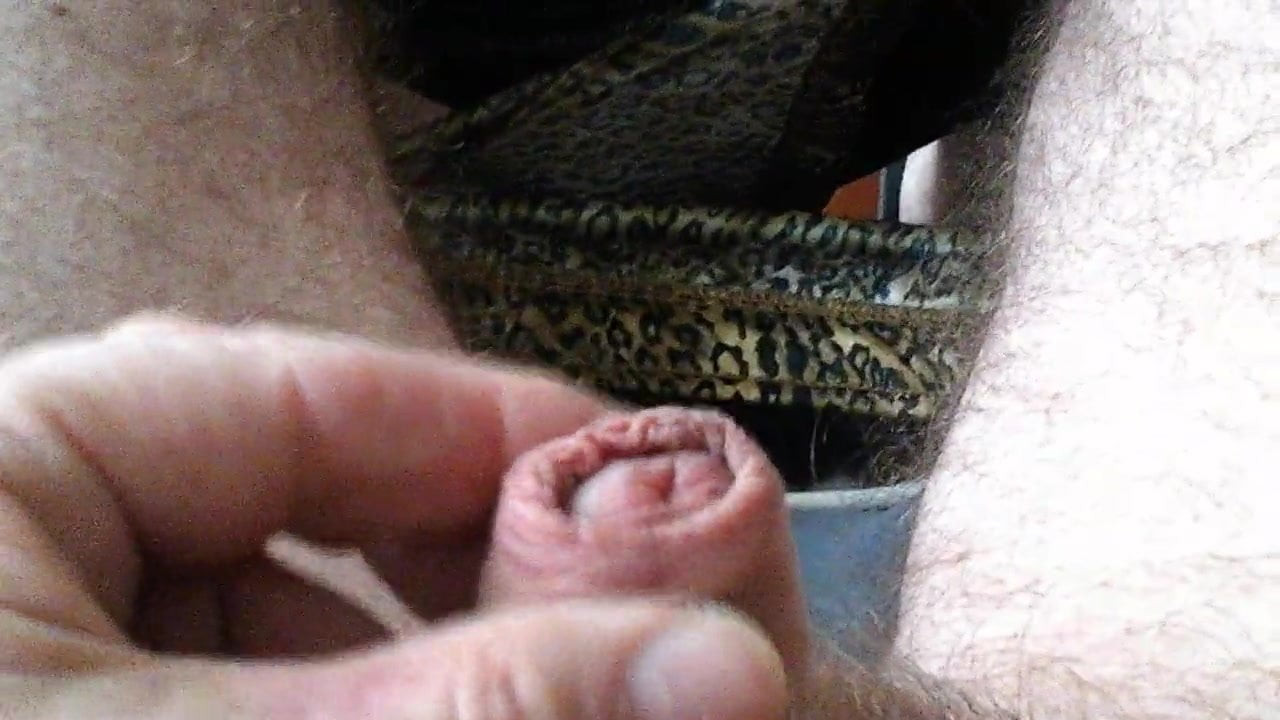 Wanking a tiny cock