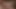 Ruria Raw Hot Big Ass Tasty Riding Big Cock Intense Sex Sweet Ass Gaping