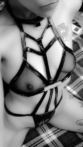 Sexy schwarze lederbänder pic collage necken