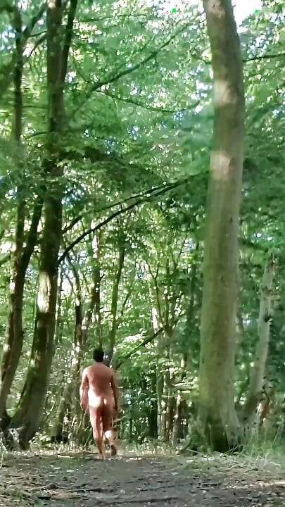 Fully Naked Walk in a Forest