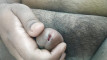Pratinjau video