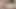 Two cum in one whore! Cuckold rewarded