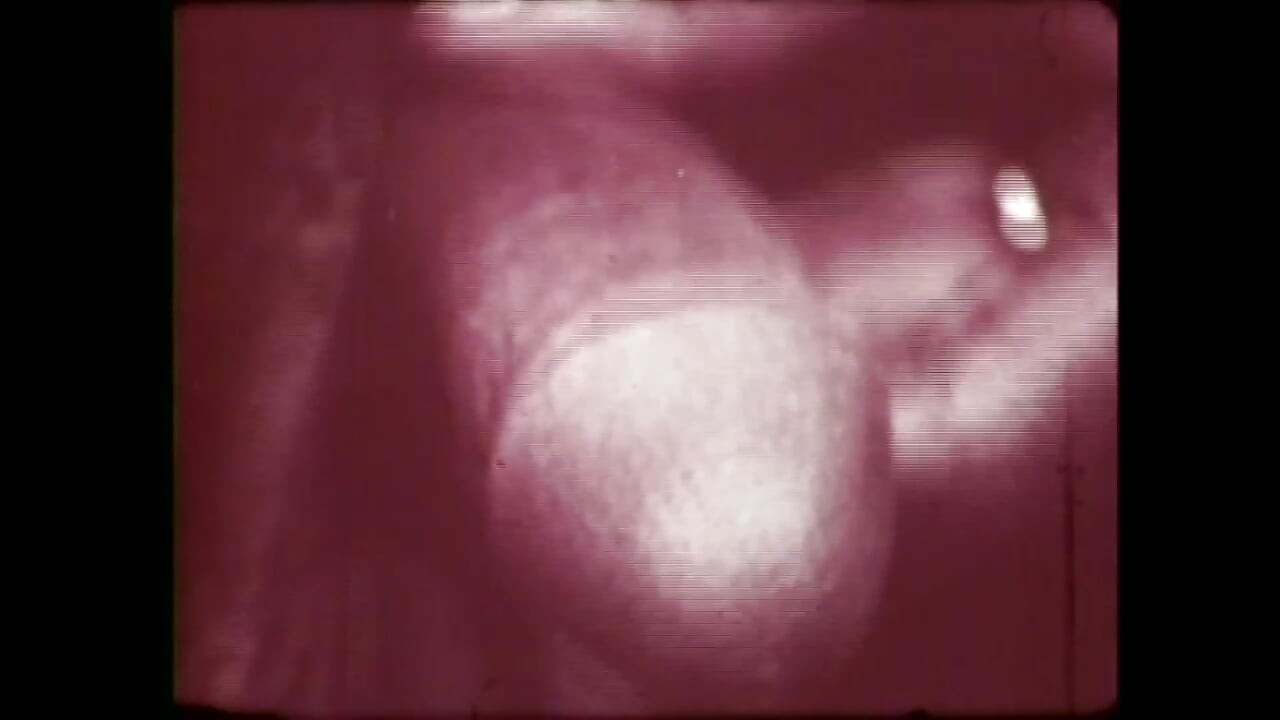 Disgusting Perverted Whore