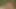 Genç adam 2 amazon kadınını sikiyor