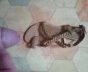 cum on sandals bought from eba