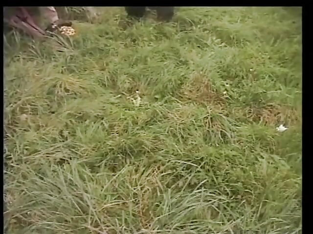 Con điếm nhà vệ sinh