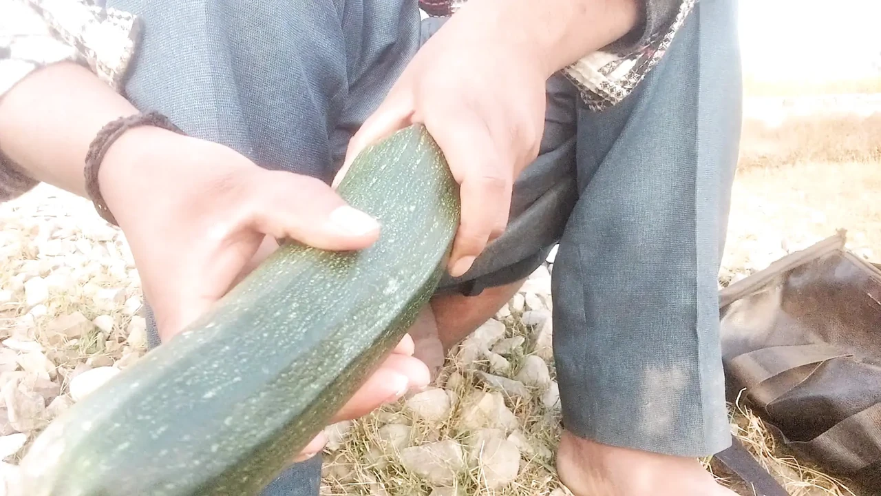 Ass fuck big cock  vegiteble