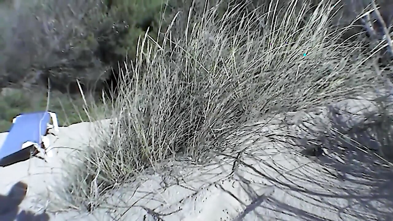 Teen Sabrina Shows Herself Revealing on the Nudist Beach