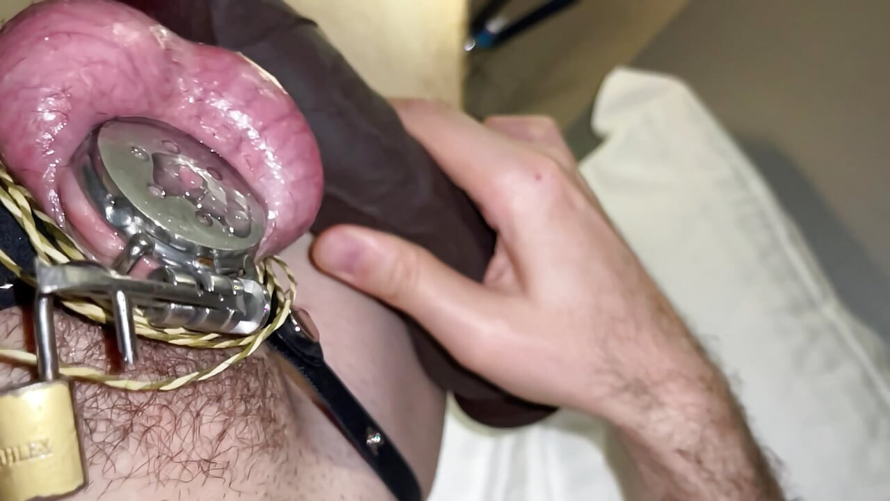 Flat Metal Cage Ball Plapping dan Ballbusting