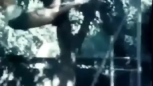 Klassische Porno-Dvds: Cowgirl am wochenende: teil 5