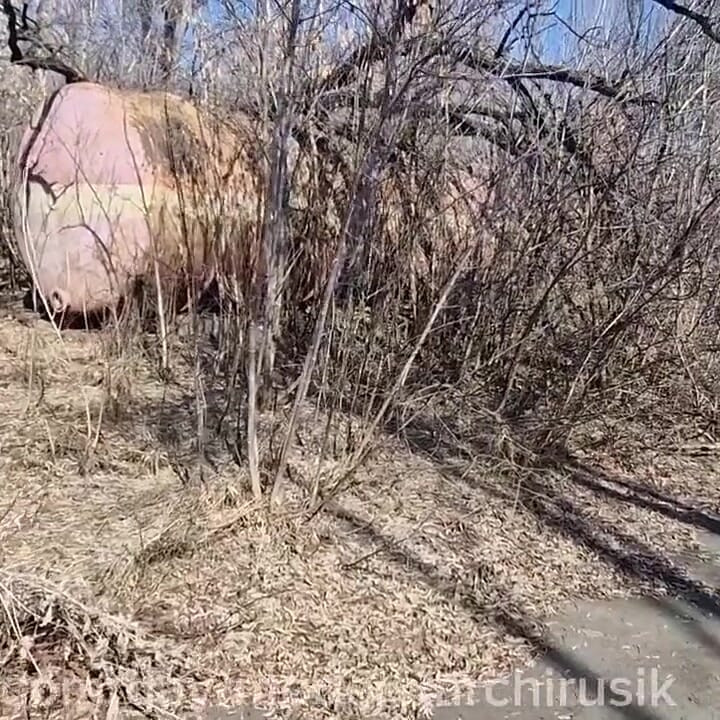 Factory Fuck, Sissy Femboy and Boss, Right in the Yard at Work
