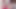 Nookies- Stepmom And Stepdaughter Take Turns Sucking Dick Before a Huge Cumshot