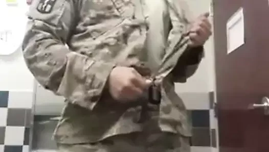 Soldado gato tesudo