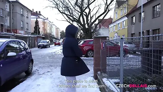 Все девушки после вечеринки (чеш. Dellais)