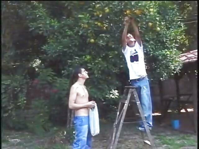 Pick me some fruit and fuck me while you want