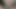 Hint sikişi – pampa ve ramio