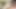 hindi village girl Neha is boobs  and cumshot pussy massage