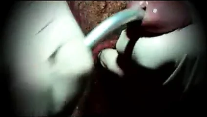 gay dev sondaj horoz 3